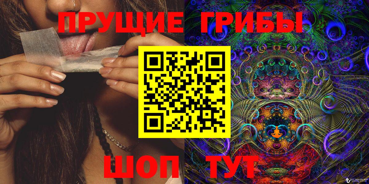 Псилоцибиновые грибы Cubensis Свободный